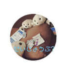 アランぱく89★（個別スタンプ：4）