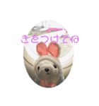 アランぱく89★（個別スタンプ：5）