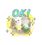 アランぱく89★（個別スタンプ：7）