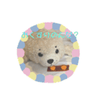 アランぱく89★（個別スタンプ：12）