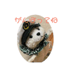 アランぱく89★（個別スタンプ：13）