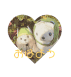 アランぱく89★（個別スタンプ：16）