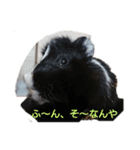 もちまるくんとなかまたち（個別スタンプ：4）
