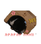 もちまるくんとなかまたち（個別スタンプ：5）