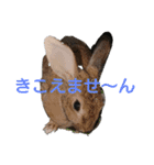 もちまるくんとなかまたち（個別スタンプ：8）