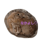 もちまるくんとなかまたち（個別スタンプ：9）