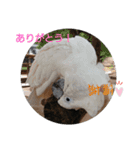 もちまるくんとなかまたち（個別スタンプ：11）