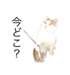 ねこ aka chill Dopeness watata official（個別スタンプ：4）