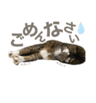みねそた100% Part2（個別スタンプ：4）