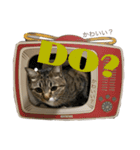 みねそた100% Part2（個別スタンプ：6）