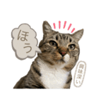 みねそた100% Part2（個別スタンプ：8）