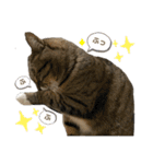 みねそた100% Part2（個別スタンプ：12）