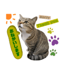 みねそた100% Part2（個別スタンプ：13）