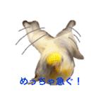 インコのリモン（個別スタンプ：14）