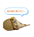 インコのリモン（個別スタンプ：15）