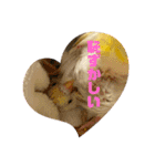 インコのリモン（個別スタンプ：26）