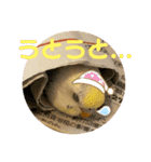 インコのリモン（個別スタンプ：27）