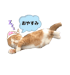 ✩ルナのスタンプ✩（個別スタンプ：3）