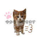 ✩ルナのスタンプ✩（個別スタンプ：7）