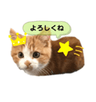 ✩ルナのスタンプ✩（個別スタンプ：8）