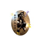 micinya（個別スタンプ：1）