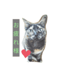micinya（個別スタンプ：3）