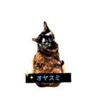 micinya（個別スタンプ：7）