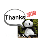 たけしのスタンプ 挨拶3（個別スタンプ：4）