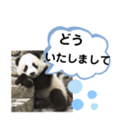 たけしのスタンプ 挨拶3（個別スタンプ：10）