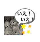 たけしのスタンプ 挨拶3（個別スタンプ：11）