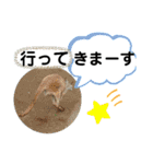 たけしのスタンプ 挨拶3（個別スタンプ：14）