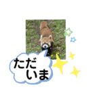 たけしのスタンプ 挨拶3（個別スタンプ：15）