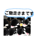 たけしのスタンプ 挨拶3（個別スタンプ：18）
