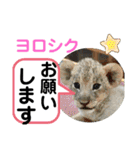 たけしのスタンプ 挨拶3（個別スタンプ：20）