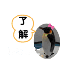 たけしのスタンプ 挨拶3（個別スタンプ：21）