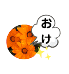 たけしのスタンプ 挨拶3（個別スタンプ：23）