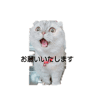 momoooooooooooo（個別スタンプ：3）