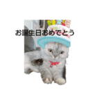 momoooooooooooo（個別スタンプ：5）