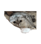 momoooooooooooo（個別スタンプ：7）