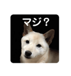モカさんスタンプ_2（個別スタンプ：6）