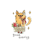 あずきちゃんスタンプ english virsion（個別スタンプ：3）