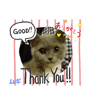 猫のムギちゃん（個別スタンプ：8）
