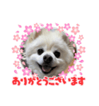 めーぷるとちくわ♪（個別スタンプ：3）
