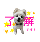 めーぷるとちくわ♪（個別スタンプ：6）