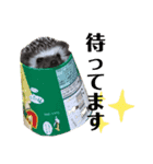 めーぷるとちくわ♪（個別スタンプ：7）