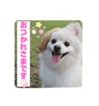 めーぷるとちくわ♪（個別スタンプ：9）