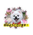 めーぷるとちくわ♪（個別スタンプ：11）