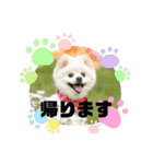 めーぷるとちくわ♪（個別スタンプ：12）