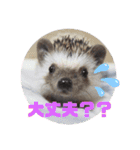 めーぷるとちくわ♪（個別スタンプ：15）