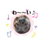めーぷるとちくわ♪（個別スタンプ：16）